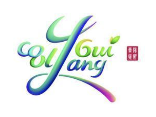 “爽爽的贵阳”旅游品牌LOGO及吉祥物正式发布